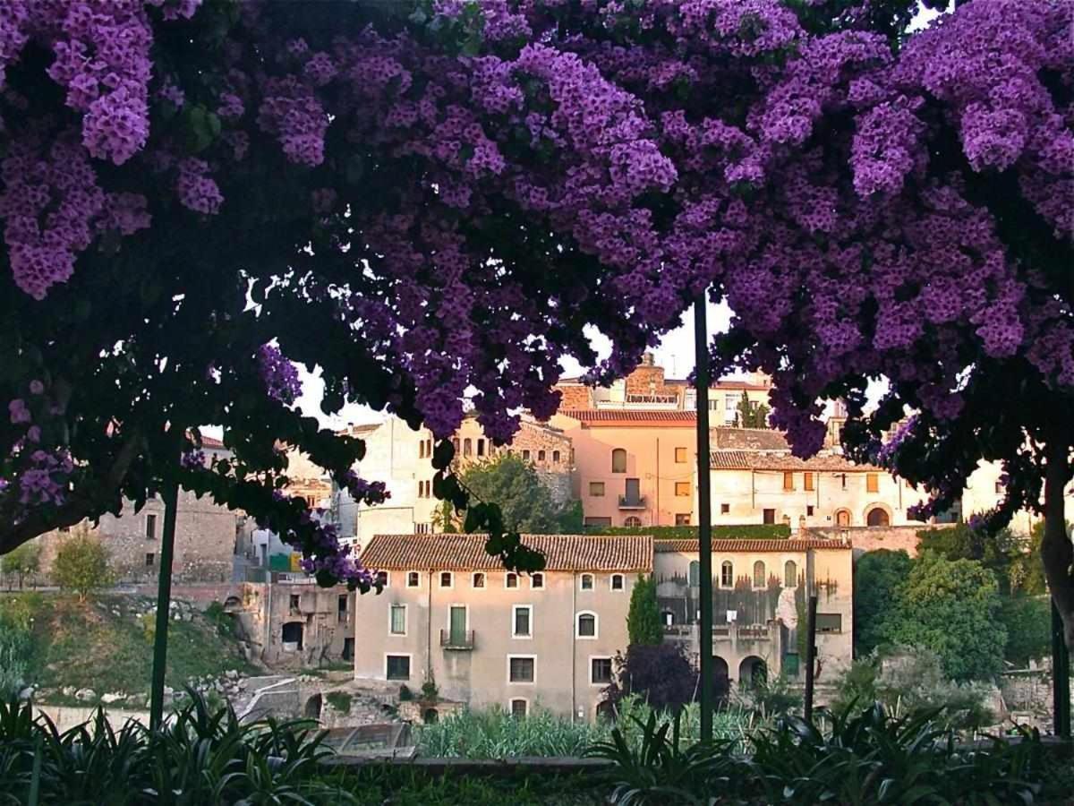 Hotel Rural Hd Riudebitlles Art I Allotjament Sant Pere de Riudebitlles Exteriör bild